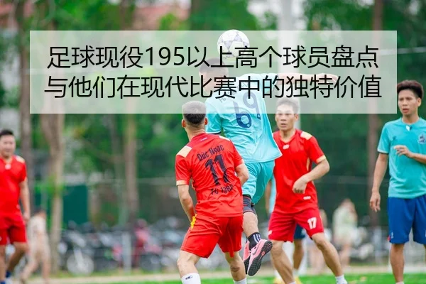 足球现役195以上高个球员盘点与他们在现代比赛中的独特价值